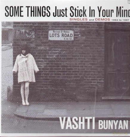 Bunyan Vashti: Some Things Just Stick In You [Winyl]