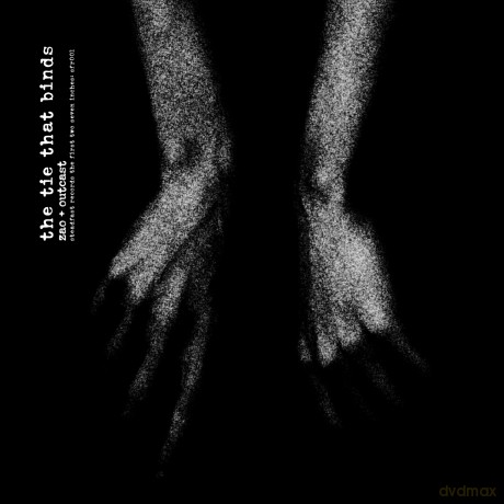 Steadfast Records First Two: Steadfast Records First Two S [Winyl]