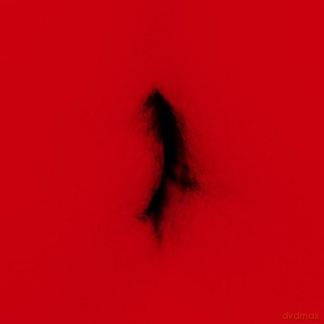 Dingwei: United [CD]
