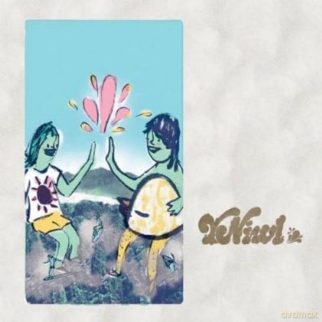 Y Niwl: Y Niwl [CD]