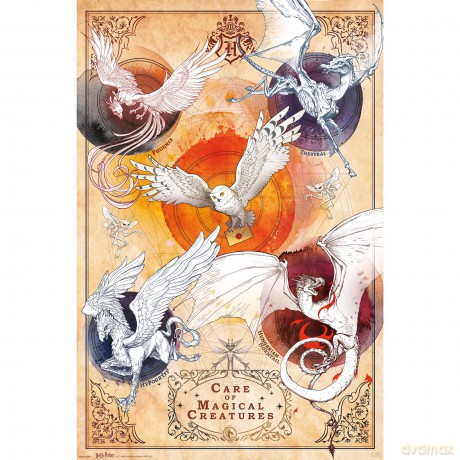 HARRY POTTER - Poster Maxi 91.5x61 FSC MIX - Magical Creatures