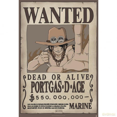 ONE PIECE - Poster Chibi 52x38 - Wanted Ace