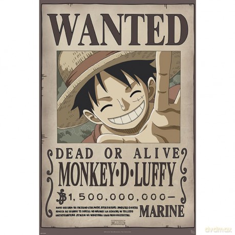 ONE PIECE - Poster Chibi 52x38 - Wanted Luffy