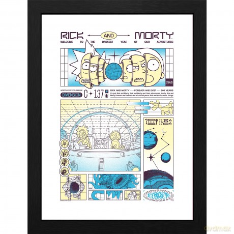 RICK AND MORTY - Framed print Bad trip (30x40)