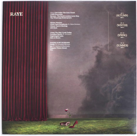 Raye: This Music May Contain Hope [2xWinyl]