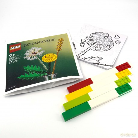 LEGO Creativity Set Plants