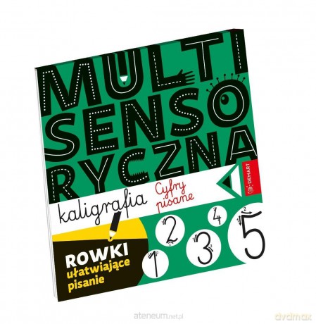 Multisensoryczna kaligrafia. Litery pisane - Anna Borchard [KSIĄŻKA]