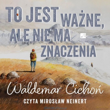 To jest ważne, ale nie ma znaczenia - Waldemar Cichoń [KSIĄŻKA]