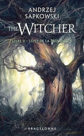 Sorceleur (Tom 2) Lepee De La Providence - Andrzej Sapkowski [KSIĄŻKA]