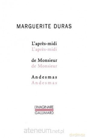 Apres midi - Marguerite Duras [KSIĄŻKA]