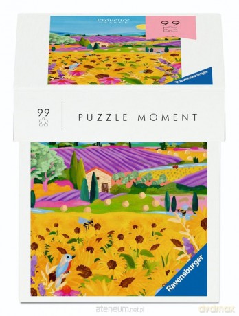 RAVENSBURGER 99 el. France [PUZZLE]