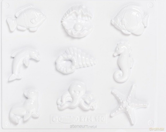 Foremki do gipsu Ocean