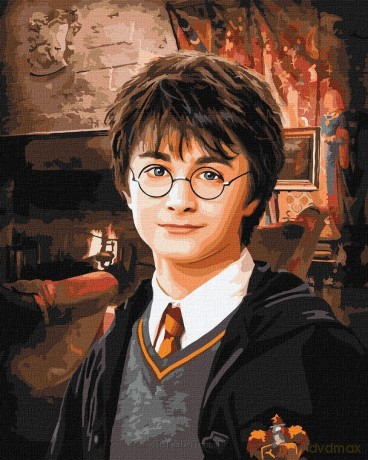 Malowanie po numerach -Harry Potter 40x50cm