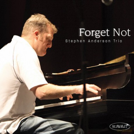 Stephen Anderson Trio: Forget Not [CD]