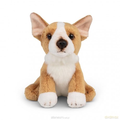Animigos World of Nature mini corgi