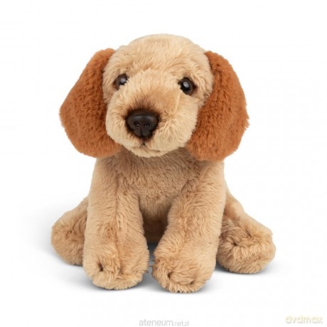 Animigos World of Nature mini cockapoo