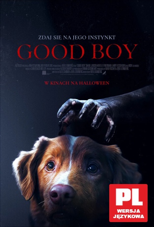Good Boy [DVD]