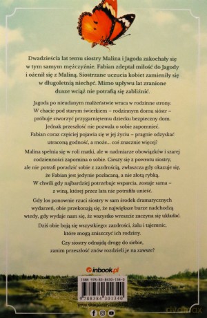 Wiosna w chacie pod starym świerkiem - Wioletta Piasecka [KSIĄŻKA]