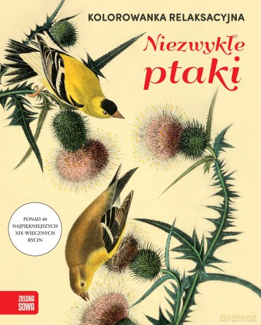 Niezwykłe ptaki. Kolorowanka relaksacyjna [KSIĄŻKA]