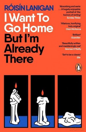 I Want To Go Home But I'm Already There - Róisín Lanigan [KSIĄŻKA]