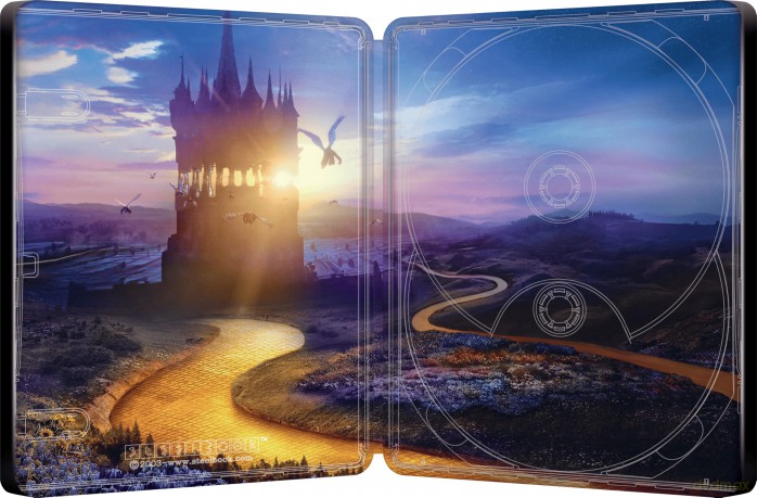 Wicked: For Good (Wicked: Na dobre) (steelbook) [Blu-Ray 4K]+[Blu-Ray]