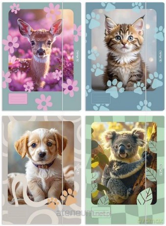 Teczka A4 z gumką Animals mix HERLITZ