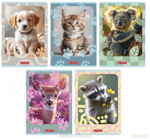 Zeszyt A5/16K linia Animals (20szt) HERLITZ