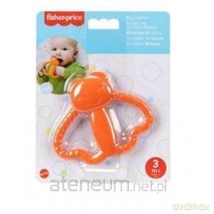 Fisher-Price Gryzak dla niemowląt