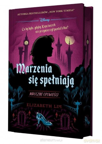 Marzenia się spełniają. Mroczne opowieści - Elizabeth Lim [KSIĄŻKA]
