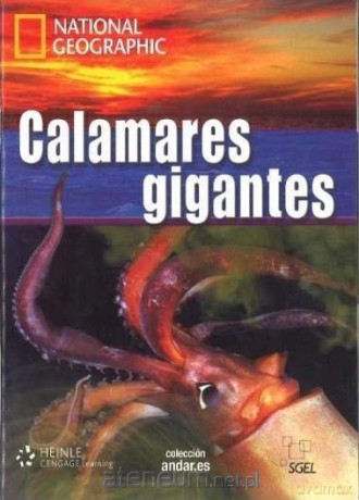 Calamares gigantes C1 [KSIĄŻKA]