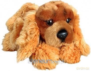 Pies spaniel leżący 30cm