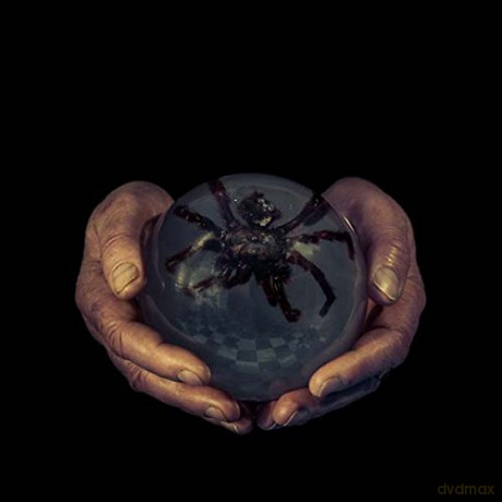 Buck Gooter: The Spider's Eyes [Winyl]