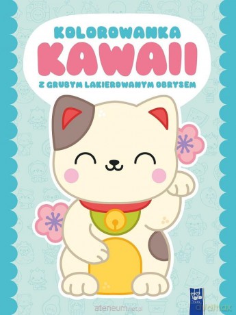Kolorowanka Kawaii z grubym lakierowanym obrysem [KSIĄŻKA]