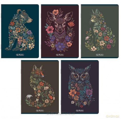 Zeszyt A5/80K linia Florimals (5szt) HERLITZ