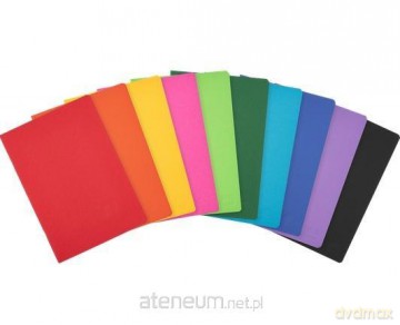 Zeszyt A5/80K kratka z marginesem Rainbow (5szt)