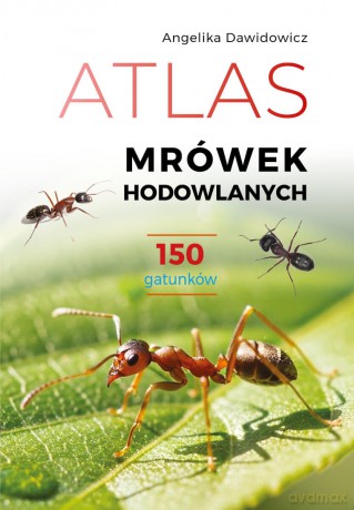 Atlas mrówek hodowlanych. 150 gatunków - Angelika Dawidowicz [KSIĄŻKA]