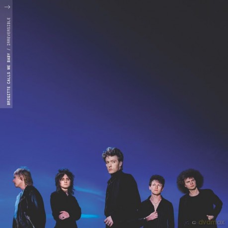 Brigitte Calls Me Baby: Irreversible [CD]