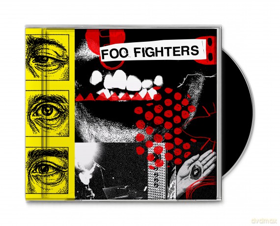 Foo Fighters: Your Favourite Toy [CD]