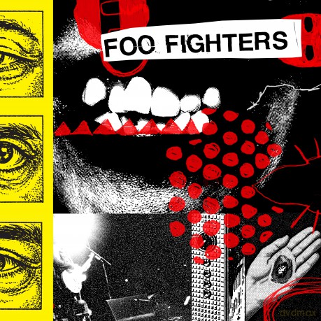 Foo Fighters: Your Favourite Toy [Winyl]