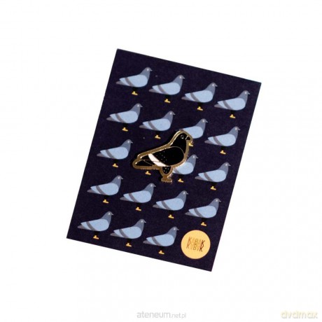 Pin gołąb miejski