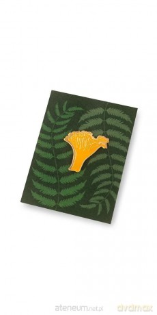 Pin grzyb kurka