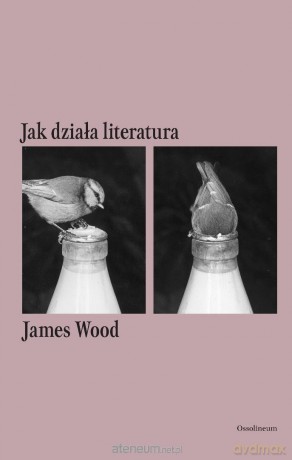 Jak działa literatura - James Wood [KSIĄŻKA]