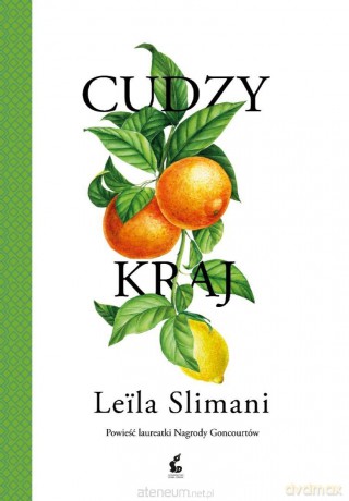 Cudzy kraj - Leila Slimani [KSIĄŻKA]