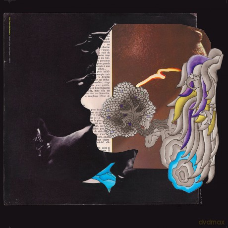 D.I.R.T.Y French Psychedelic [Winyl]