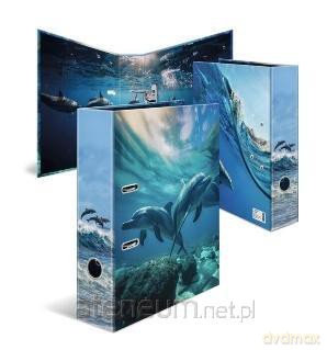 Segregator Delfin 7cm