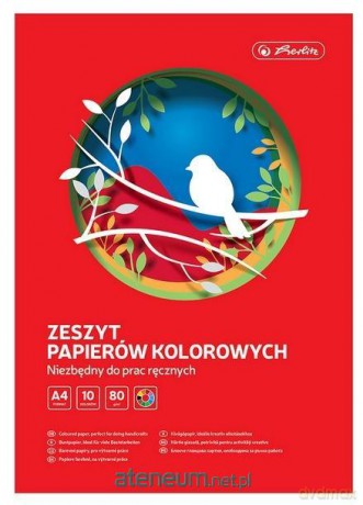 Zeszyt papierów kolorowych A4/10K (10szt)