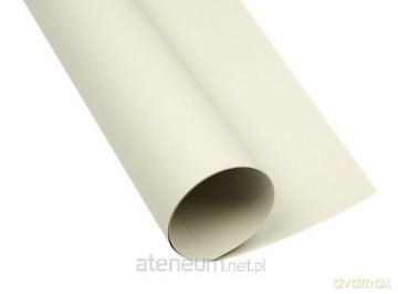 Karton kolorowy A2 160g szary jasny (25szt)