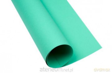 Karton kolorowy A2 160g turkus (25szt)