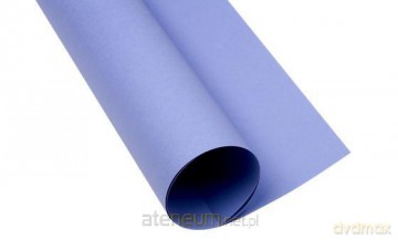 Karton kolorowy A2 160g fioletowy (25szt)