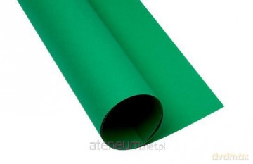 Karton kolorowy A2 160g zielony (25szt)